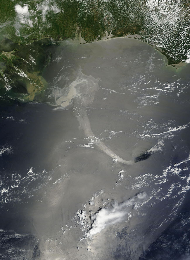 Gulf Oil Slick Looks 'Very Scary' From Space, Cosmonaut Says